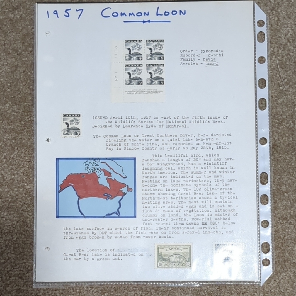 1957 Common Loon Stamp Sheet
